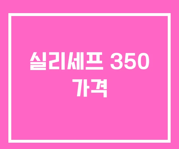 실리세프 350 가격