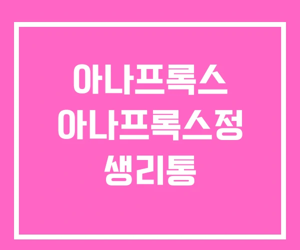 아나프록스 아나프록스정 생리통