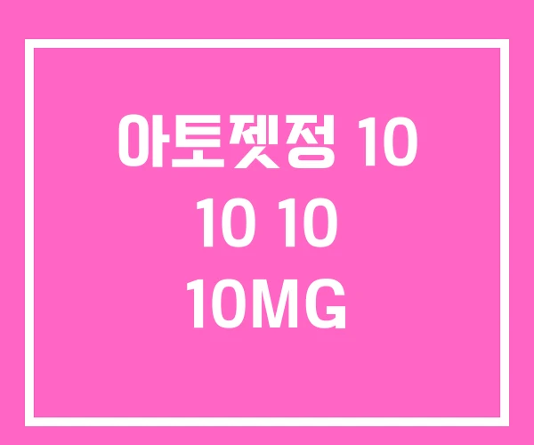 아토젯정 10 10 10 10MG