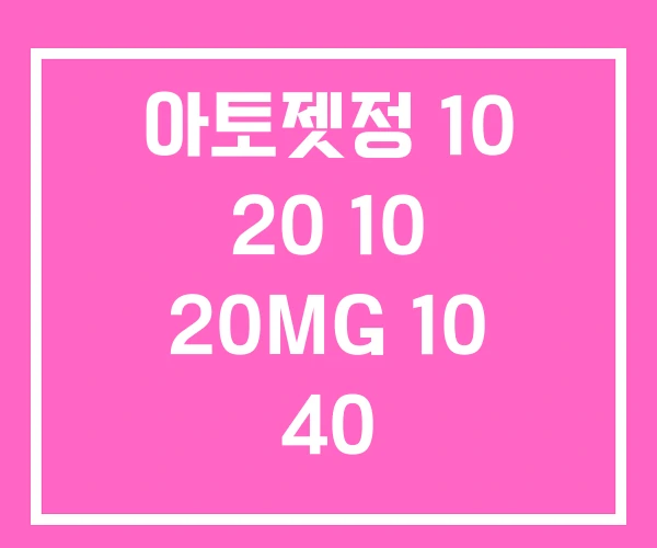 아토젯정 10 20 10 20MG 10 40