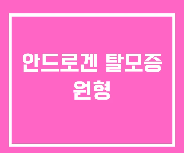 안드로겐 탈모증 원형