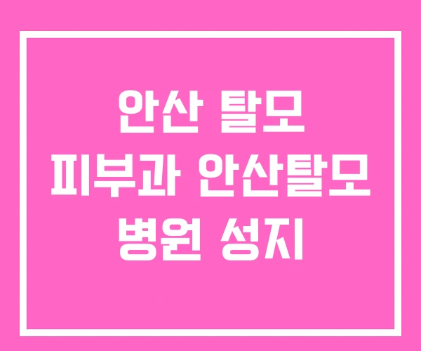 안산 탈모 피부과 안산탈모 병원 성지 안산 탈모 피부과 안산탈모 병원 성지
