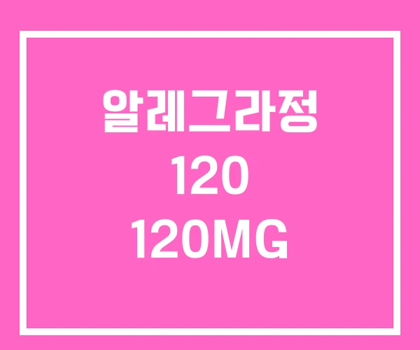 알레그라정 120 120MG