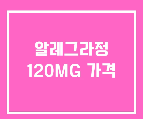 알레그라정 120MG 가격