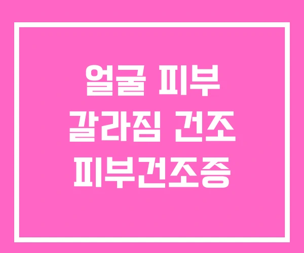 얼굴 피부 갈라짐 건조 피부건조증
