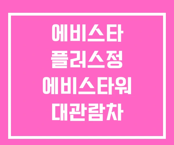 에비스타 플러스정 에비스타워 대관람차