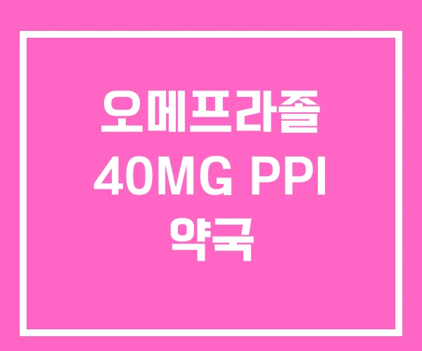 오메프라졸 40MG PPI 약국