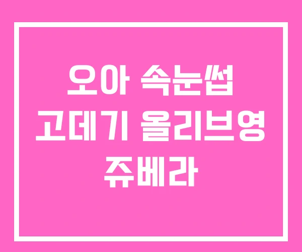 오아 속눈썹 고데기 올리브영 쥬베라