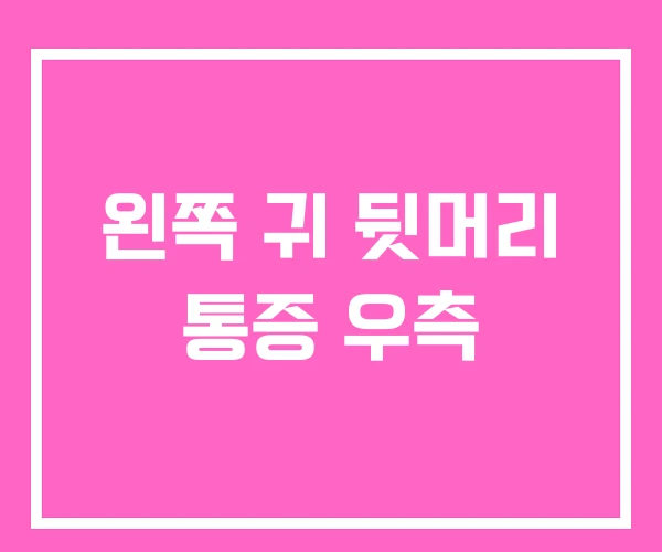 왼쪽 귀 뒷머리 통증 우측