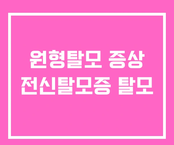 원형탈모 증상 전신탈모증 탈모