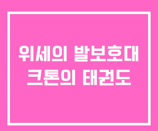 위세의 발보호대 크톤의 태권도