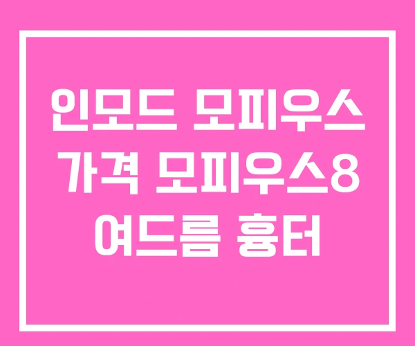 인모드 모피우스 가격 모피우스8 여드름 흉터