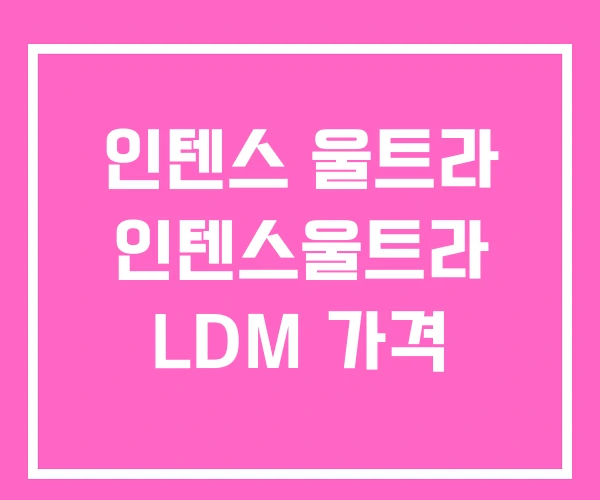 인텐스 울트라 인텐스울트라 LDM 가격