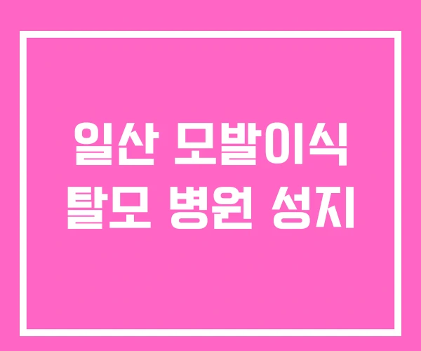 일산 모발이식 탈모 병원 성지