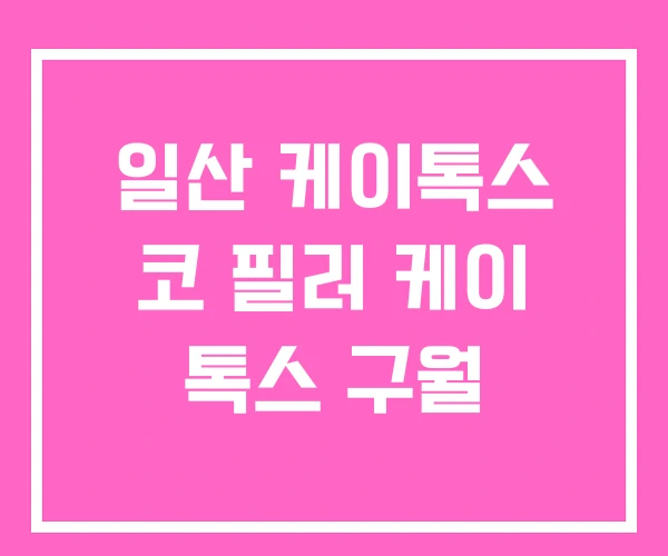 일산 케이톡스 코 필러 케이 톡스 구월