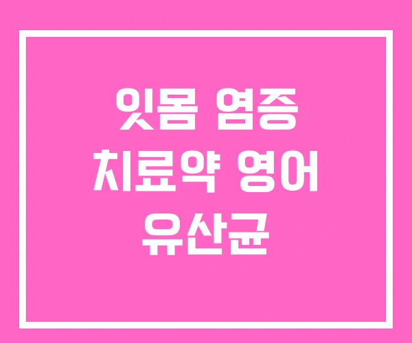 잇몸 염증 치료약 영어 유산균