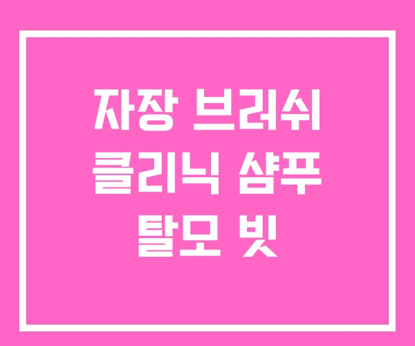 자장 브러쉬 클리닉 샴푸 탈모 빗