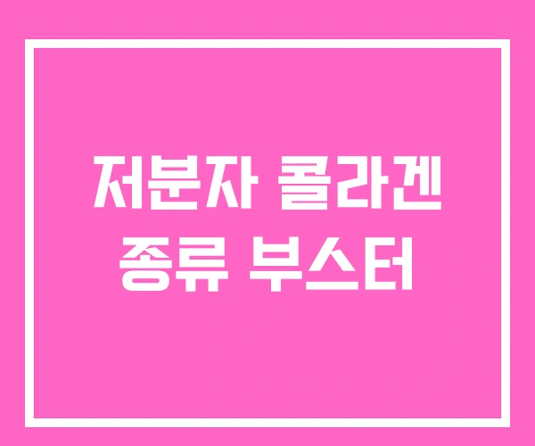 저분자 콜라겐 종류 부스터