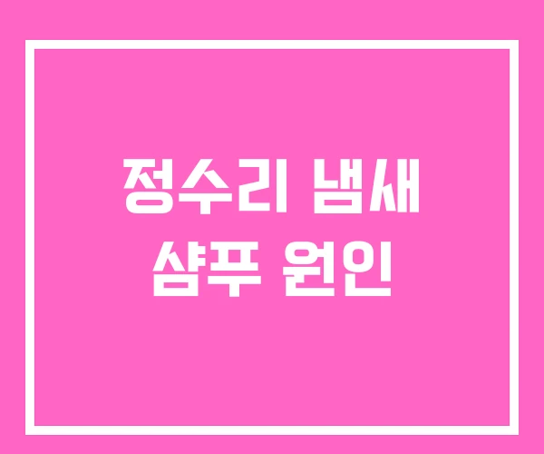 정수리 냄새 샴푸 원인