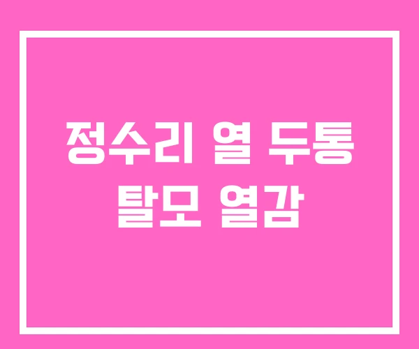 정수리 열 두통 탈모 열감