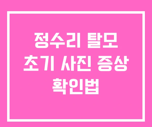 정수리 탈모 초기 사진 증상 확인법