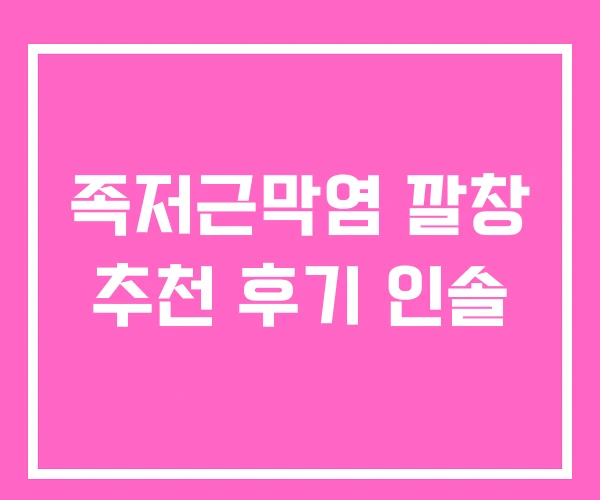 족저근막염 깔창 추천 후기 인솔