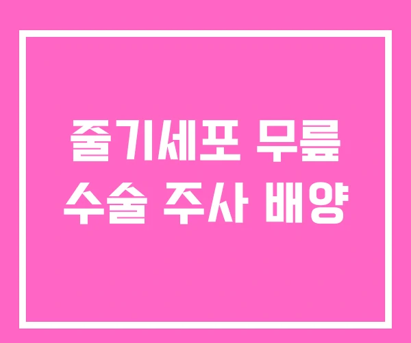 줄기세포 무릎 수술 주사 배양