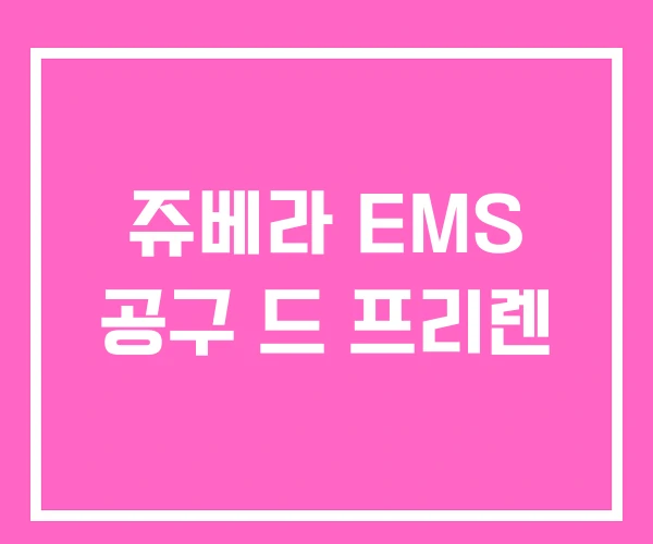 쥬베라 EMS 공구 드 프리렌