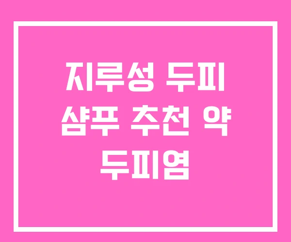 지루성 두피 샴푸 추천 약 두피염