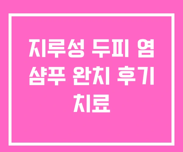 지루성 두피 염 샴푸 완치 후기 치료