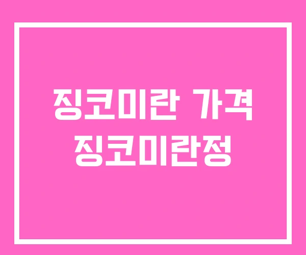 징코미란 가격 징코미란정