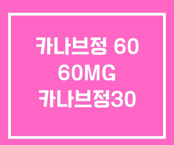 카나브정 60 60MG 카나브정30