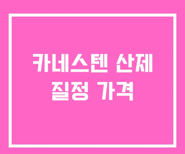 카네스텐 산제 질정 가격