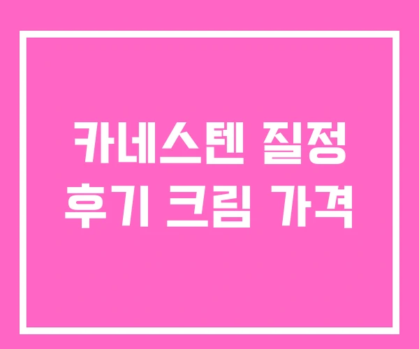 카네스텐 질정 후기 크림 가격