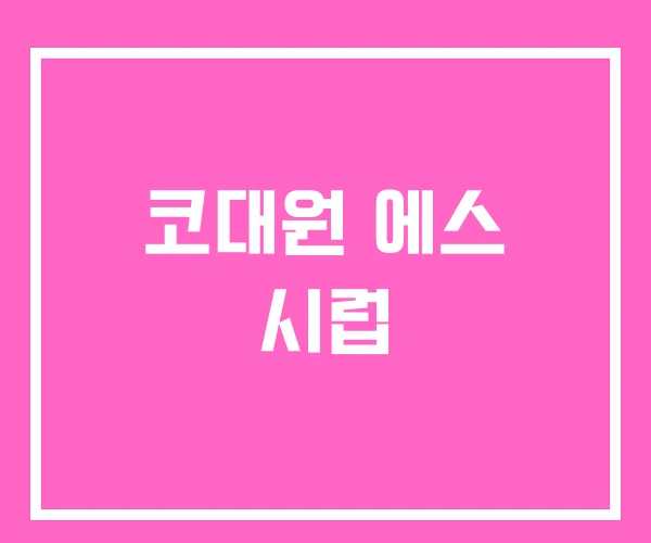 코대원 에스 시럽