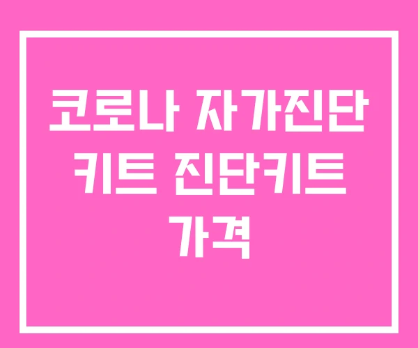 코로나 자가진단 키트 진단키트 가격