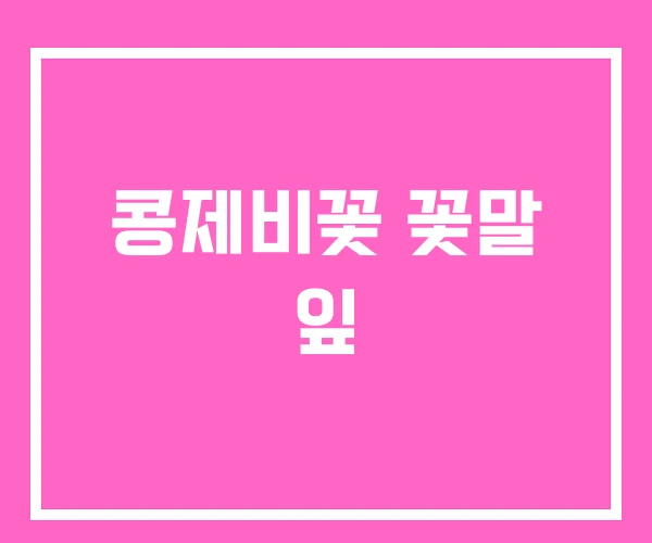 콩제비꽃 꽃말 잎 콩제비꽃 꽃말 잎