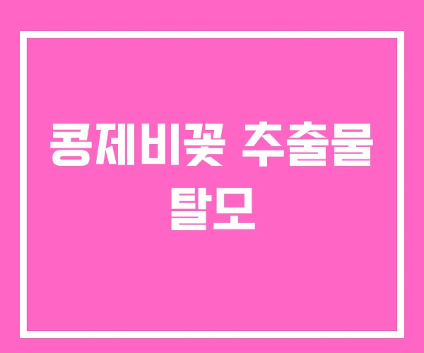 콩제비꽃 추출물 탈모 콩제비꽃 추출물 탈모