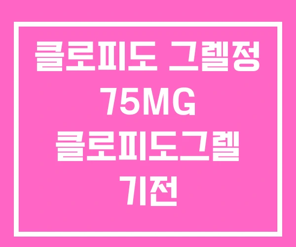 클로피도 그렐정 75MG 클로피도그렐 기전