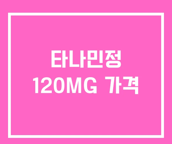 타나민정 120MG 가격