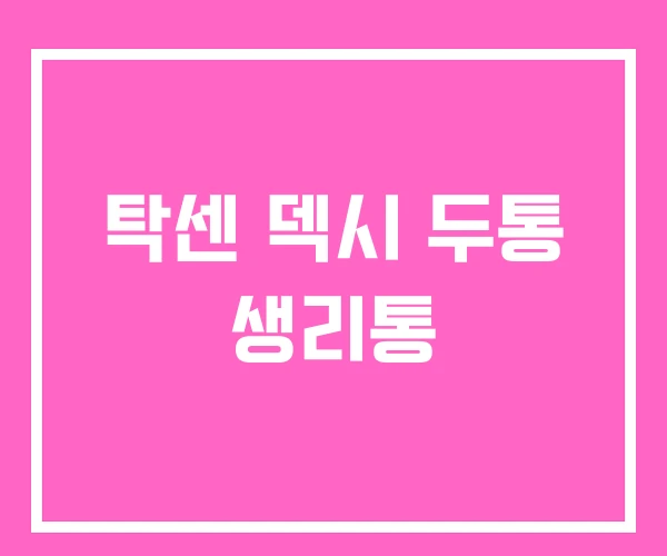 탁센 덱시 두통 생리통