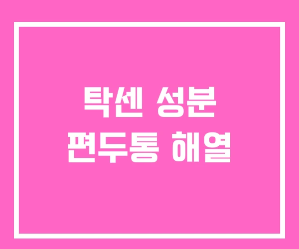 탁센 성분 편두통 해열