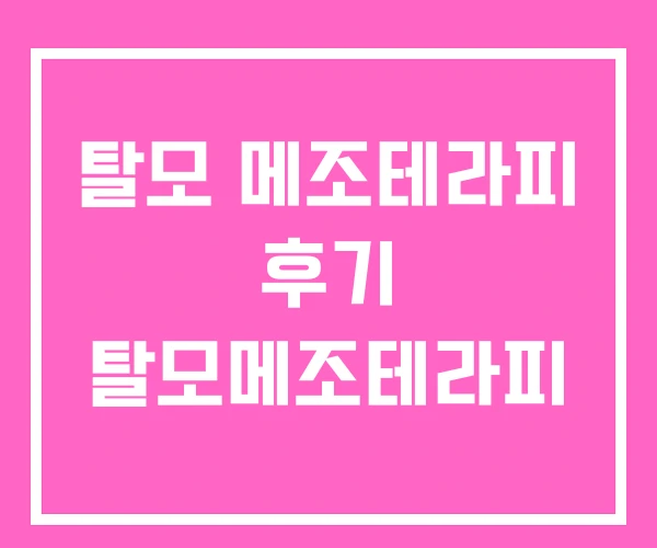 탈모 메조테라피 후기 탈모메조테라피