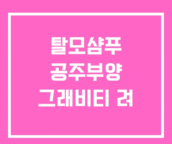 탈모샴푸 공주부양 그래비티 려 탈모샴푸 공주부양 그래비티 려