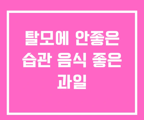 탈모에 안좋은 습관 음식 좋은 과일