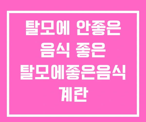 탈모에 안좋은 음식 좋은 탈모에좋은음식 계란