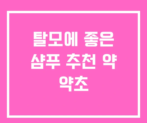 탈모에 좋은 샴푸 추천 약 약초