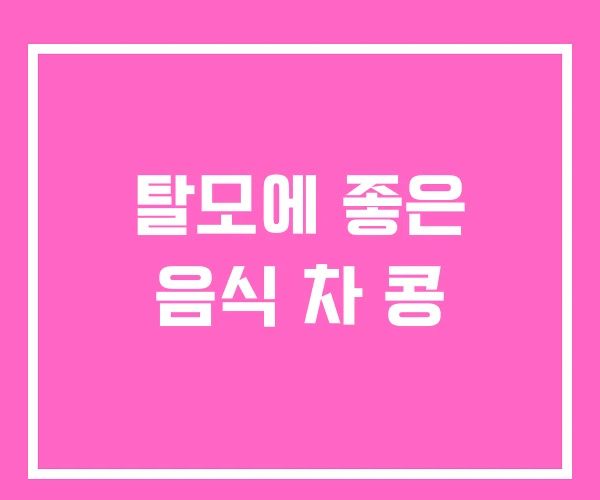 탈모에 좋은 음식 차 콩