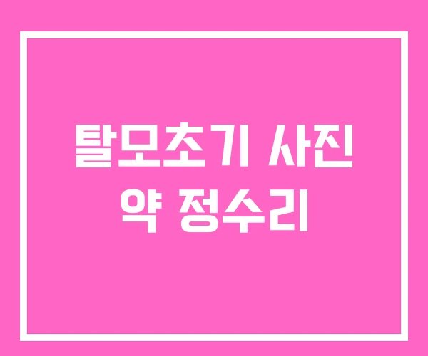 탈모초기 사진 약 정수리 탈모초기 사진 약 정수리