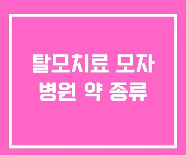 탈모치료 모자 병원 약 종류